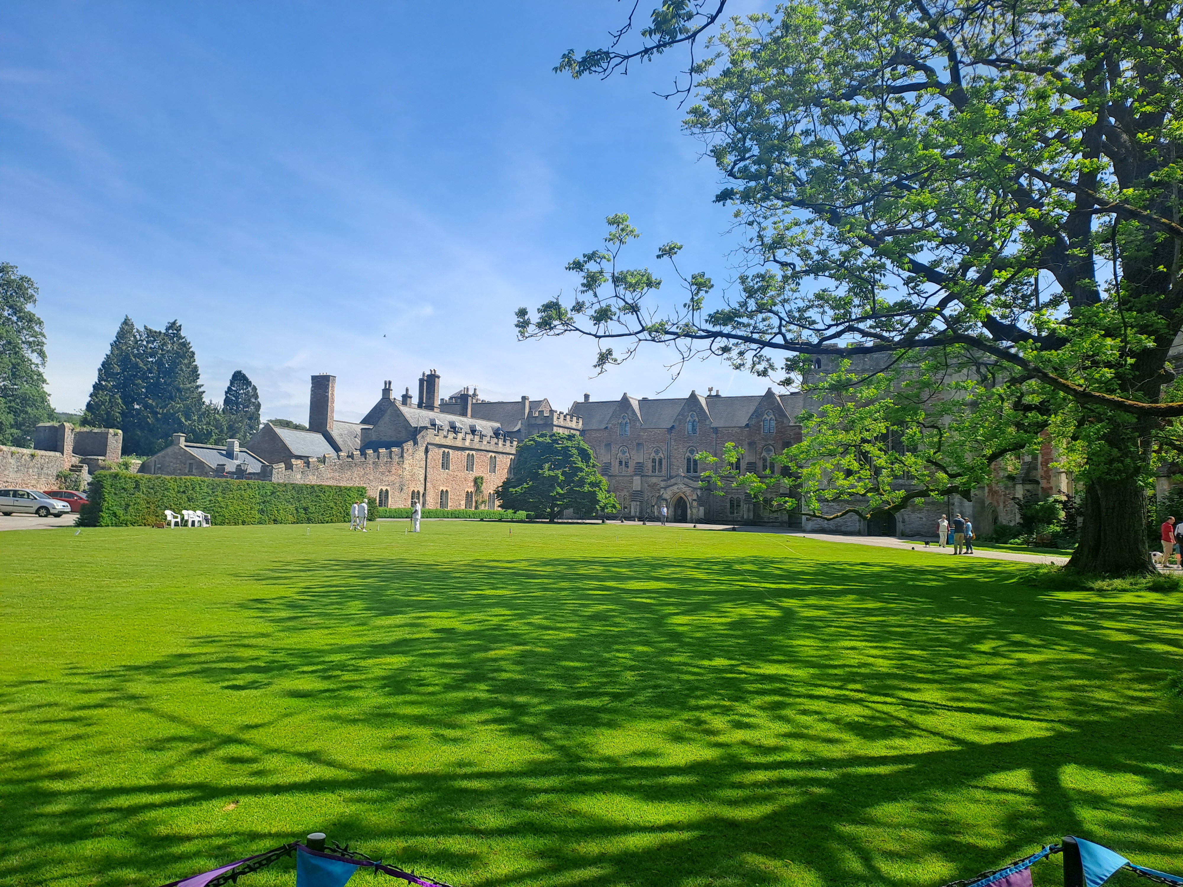 Scenic landscape for professional profile