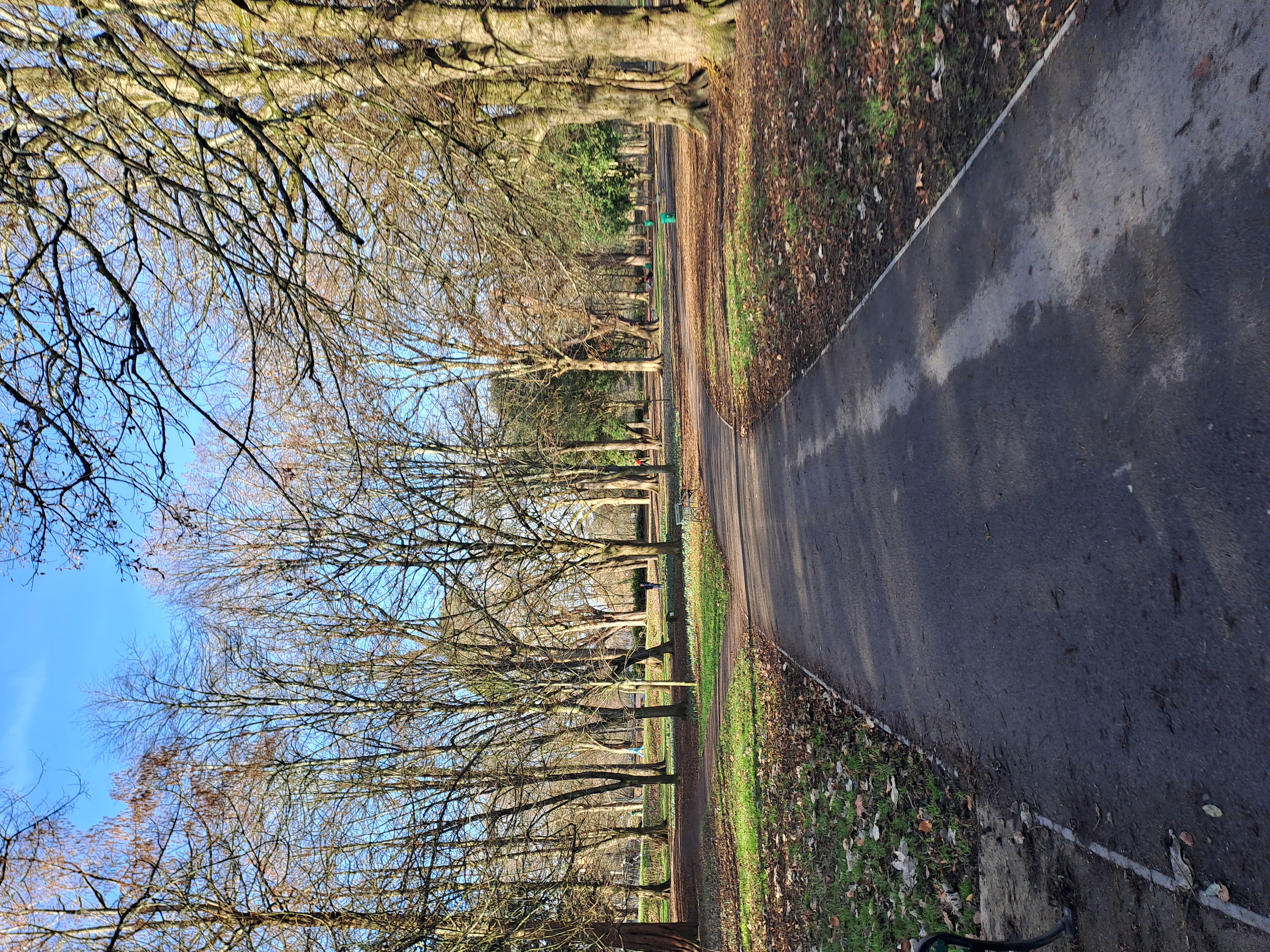 Cardiff Castle in Cardiff, Wales