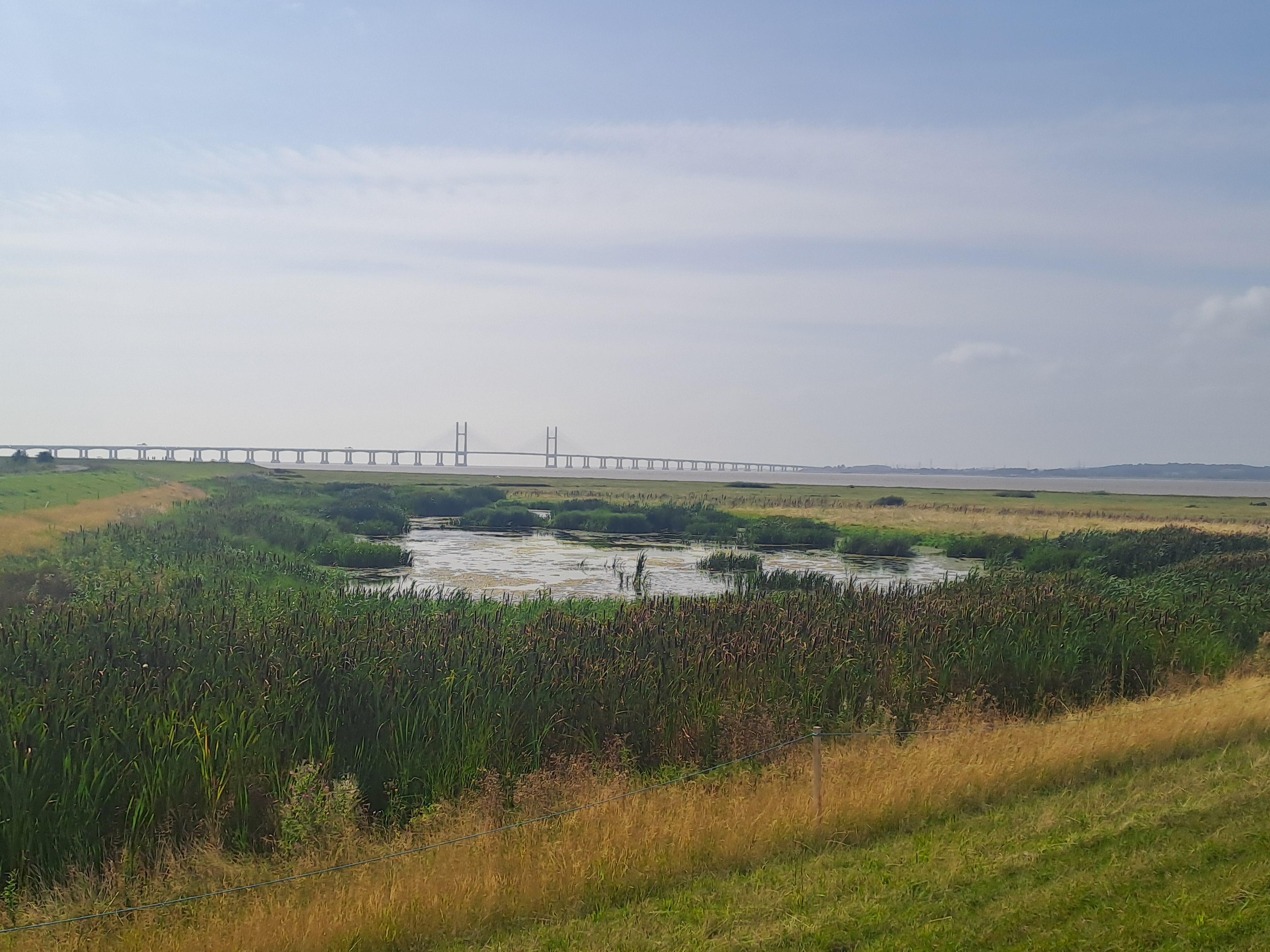 Severn Beach coastline